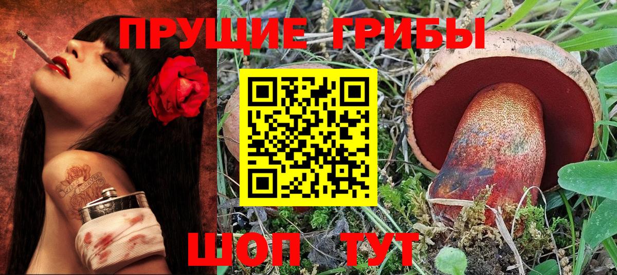 Псилоцибиновые грибы Psilocybine cubensis  Псилоцибиновые грибы ЛСД  Шали  Вход с VPN 