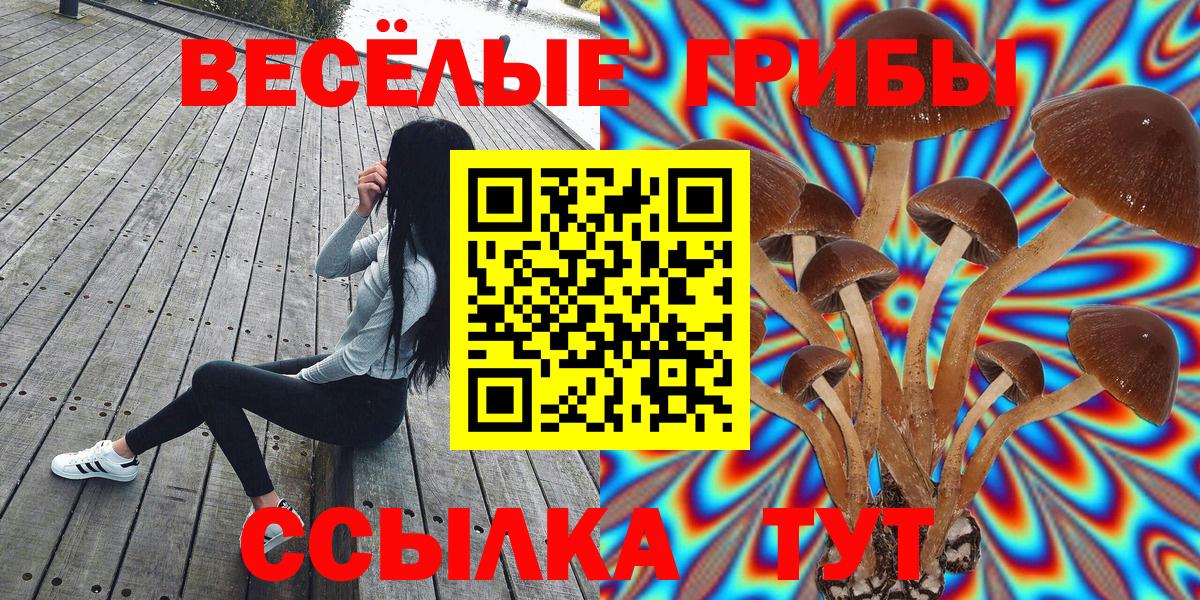 Псилоцибиновые грибы Cubensis Шали